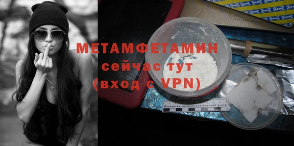 молекула духа Вяземский