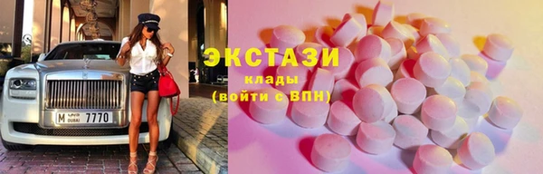 молекула духа Вяземский