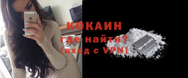 прущие грибы Волоколамск