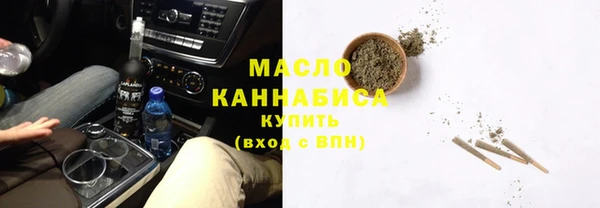молекула духа Вяземский