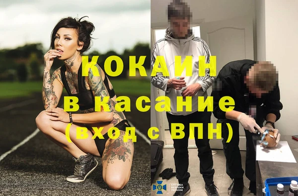 прущие грибы Волоколамск