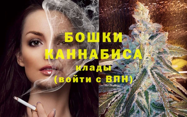 молекула духа Вяземский