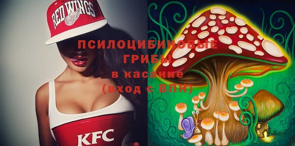 молекула духа Вяземский