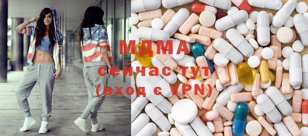 молекула духа Вяземский