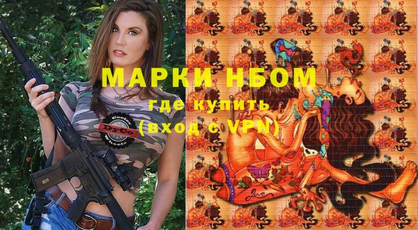 молекула духа Вяземский