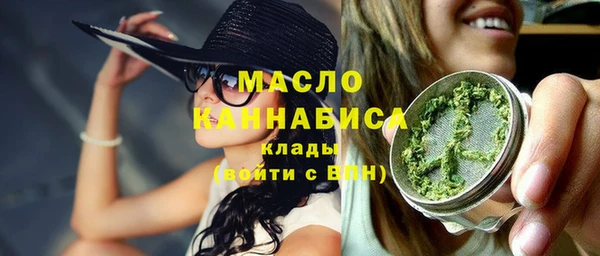 молекула духа Вяземский