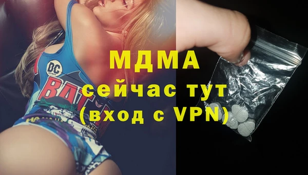 молекула духа Вяземский