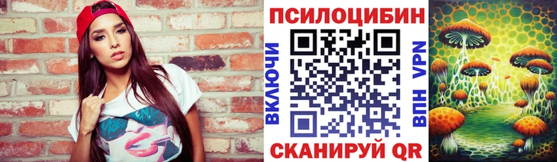 Псилоцибиновые грибы Psilocybine cubensis  хочу   OMG ТОР  Геленджик 
