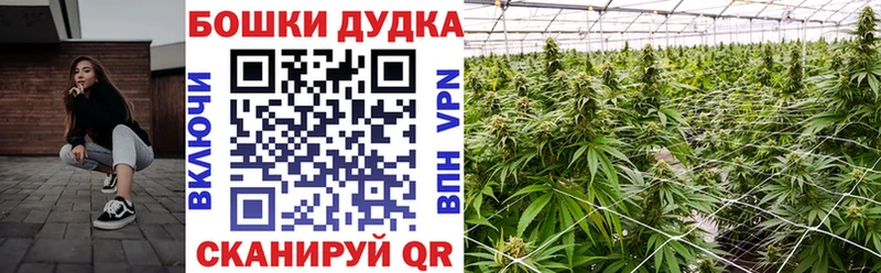 KRAKEN ссылка Геленджик Каннабис VHQ
